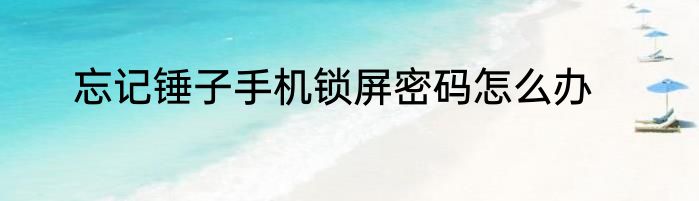 忘记锤子手机锁屏密码怎么办