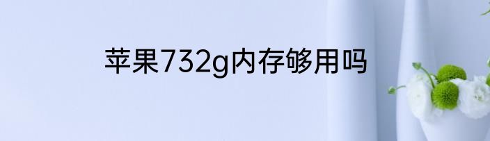 苹果732g内存够用吗