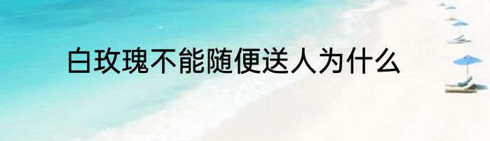 白玫瑰不能随便送人为什么