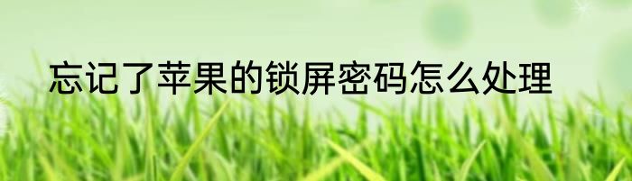 忘记了苹果的锁屏密码怎么处理