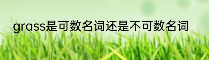 grass是可数名词还是不可数名词