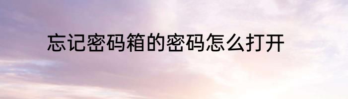 忘记密码箱的密码怎么打开
