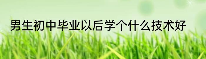 男生初中毕业以后学个什么技术好