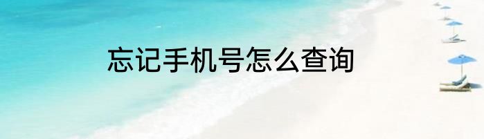 忘记手机号怎么查询
