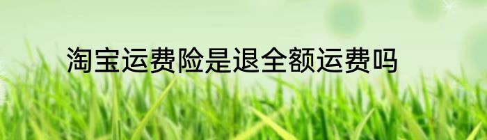 淘宝运费险是退全额运费吗