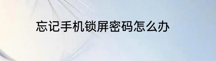 忘记手机锁屏密码怎么办