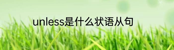 unless是什么状语从句