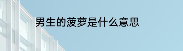 男生的菠萝是什么意思