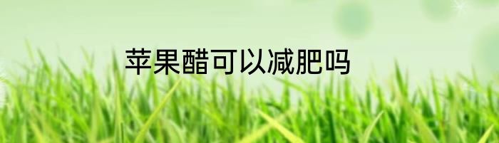 苹果醋可以减肥吗
