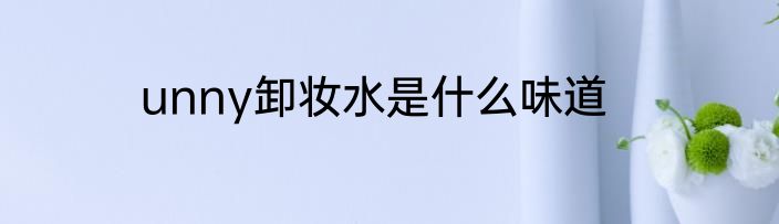 unny卸妆水是什么味道