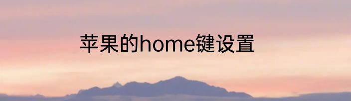 苹果的home键设置