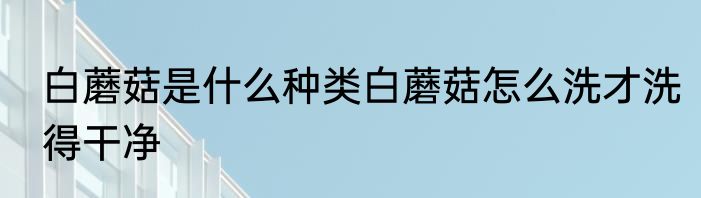 白蘑菇是什么种类白蘑菇怎么洗才洗得干净