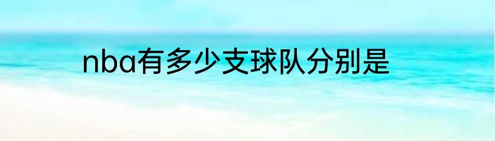nba有多少支球队分别是
