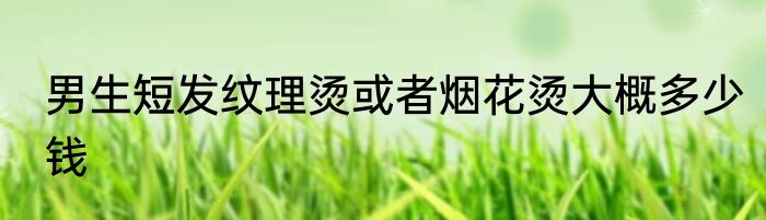 男生短发纹理烫或者烟花烫大概多少钱