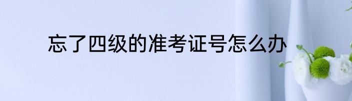 忘了四级的准考证号怎么办