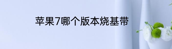 苹果7哪个版本烧基带