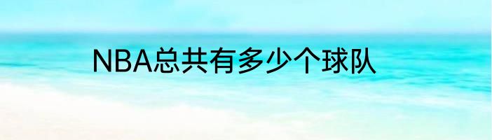 NBA总共有多少个球队