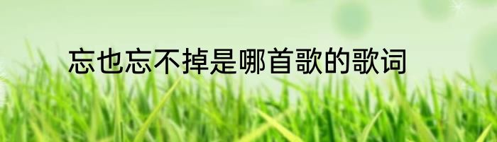 忘也忘不掉是哪首歌的歌词