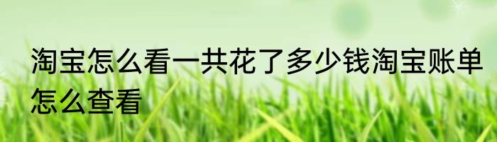 淘宝怎么看一共花了多少钱淘宝账单怎么查看
