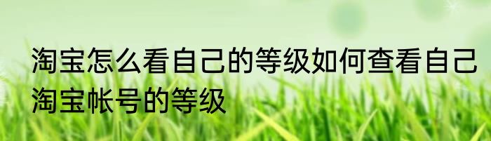 淘宝怎么看自己的等级如何查看自己淘宝帐号的等级