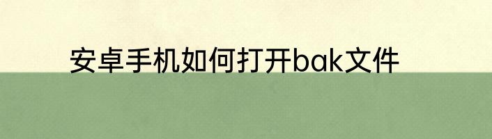 安卓手机如何打开bak文件