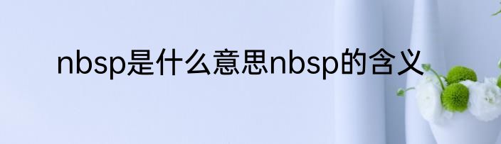 nbsp是什么意思nbsp的含义