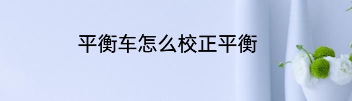 平衡车怎么校正平衡