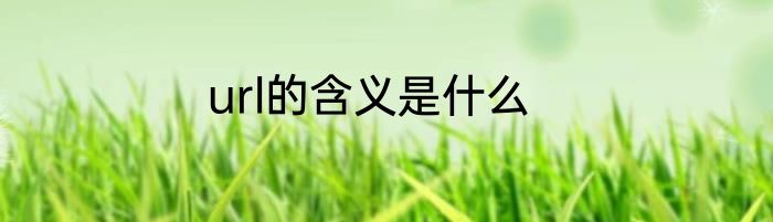 url的含义是什么