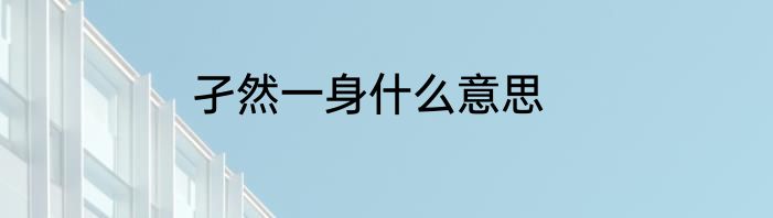 孑然一身什么意思