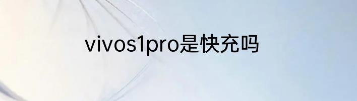 vivos1pro是快充吗