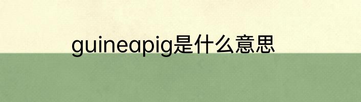 guineapig是什么意思