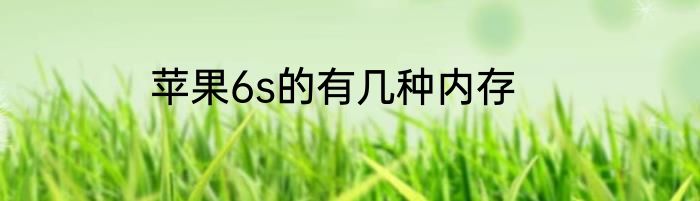 苹果6s的有几种内存