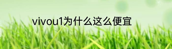 vivou1为什么这么便宜