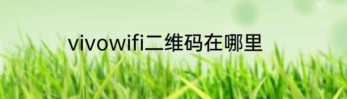 vivowifi二维码在哪里