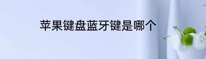 苹果键盘蓝牙键是哪个