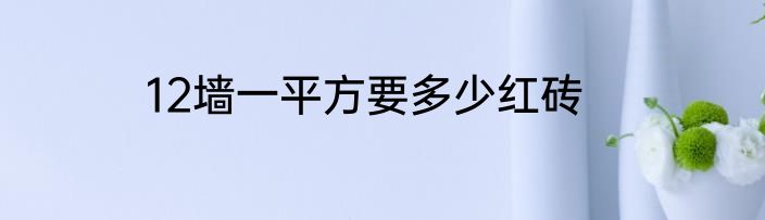 12墙一平方要多少红砖