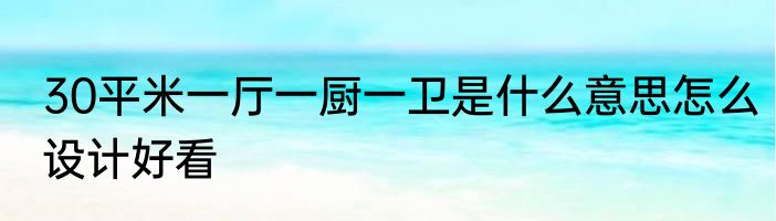 30平米一厅一厨一卫是什么意思怎么设计好看