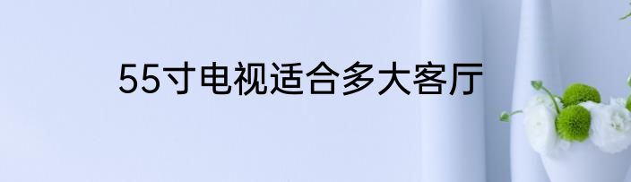 55寸电视适合多大客厅