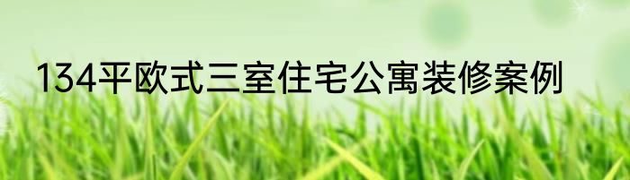 134平欧式三室住宅公寓装修案例