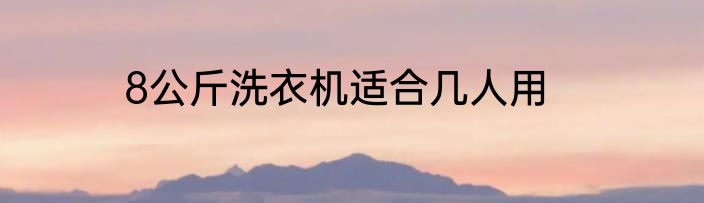 8公斤洗衣机适合几人用