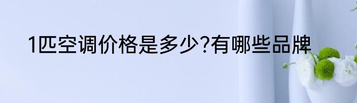1匹空调价格是多少?有哪些品牌