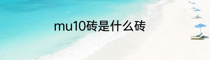 mu10砖是什么砖