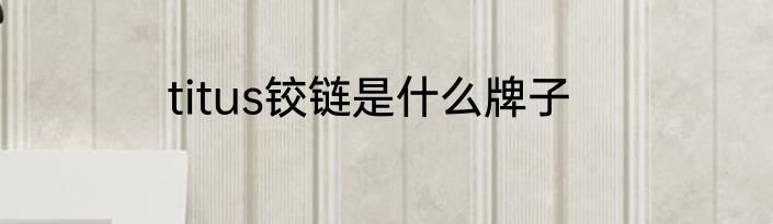 titus铰链是什么牌子