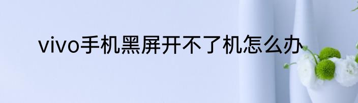 vivo手机黑屏开不了机怎么办