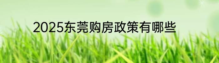 2025东莞购房政策有哪些