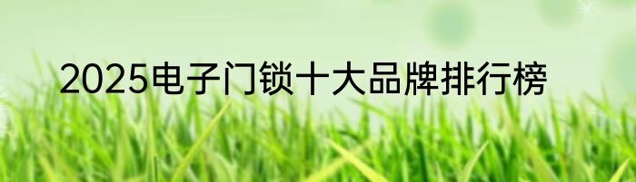 2025电子门锁十大品牌排行榜