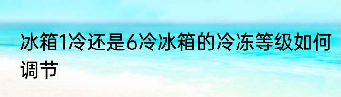 冰箱1冷还是6冷冰箱的冷冻等级如何调节
