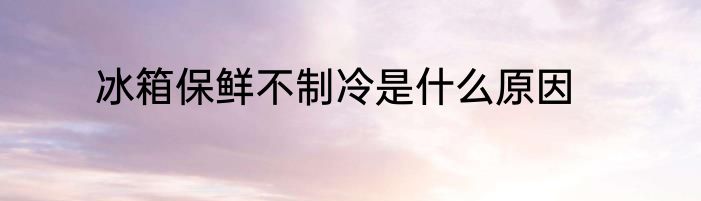 冰箱保鲜不制冷是什么原因