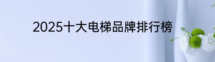 2025十大电梯品牌排行榜