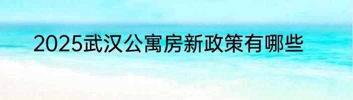 2025武汉公寓房新政策有哪些